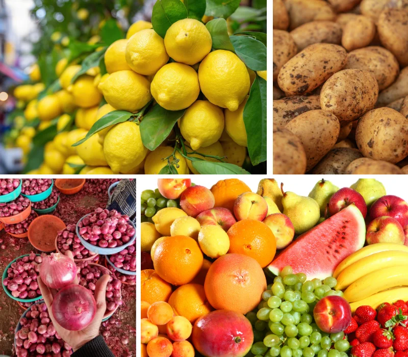 Bharti Global Export